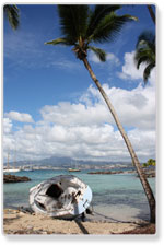 Picture of Martinique